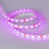 Светодиодная лента Arlight 014618(2)
