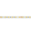 Светодиодная лента RTW 2-5000SE 24V Arlight 016847 Cool 2x, 300 LED, LUX 