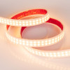 Светодиодная лента Arlight 018999