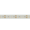 Светодиодная лента Arlight 018999