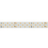 Светодиодная лента RT 2-5000 24V Arlight 019924 Cool 8K 3x2, 1260 LED, LUX 