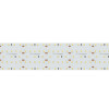 Светодиодная лента S2-2500 24V Arlight 023406 White 6000K 59mm, 420 LED/m, LUX 