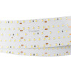 Светодиодная лента S2-2500 24V Arlight 023406 White 6000K 59mm, 420 LED/m, LUX 