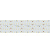 Светодиодная лента S2-2500 24V Arlight 023407 Warm 2700K 59mm, 420 LED/m, LUX 