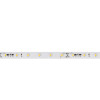 Светодиодная лента RT-20000 24V Arlight 025011 Day4000, 60 LED/m, 20m 