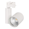 Трековый светильник LGD-SHOP-4TR-R100-40W Arlight 026387 Cool SP7500-Fish, WH, 24 deg 