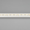 Светодиодная лента герметичная RTW-PU-A120-10.5mm 24V Arlight 029514(2) Day4500, 16.8 W/m, IP68, 5m 