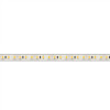 Светодиодная лента герметичная RTW-PU-A120-10.5mm 12V Arlight 029596(2) White6000, 16.8 W/m, IP68, 5m 