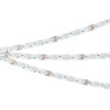 Светодиодная лента SPI-RZ-B60-8mm 12V RGB-PX1-BPT (9 W/m, IP20, 5060, 5m) (Arlight, -) 047382