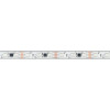Светодиодная лента герметичная SPI-PS-B60-12mm 12V RGB-PX3-BPT (12 W/m, IP67, 5060, 5m) (Arlight, бегущий огонь) 039599