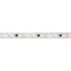 Светодиодная лента герметичная SPI-PFS-B60-12mm 12V RGB-PX3-BPT (12 W/m, IP68, 5060, 5m) (Arlight, бегущий огонь) 039177