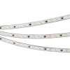 Светодиодная лента герметичная SPI-PFS-B60-12mm 12V RGB-PX3-BPT (12 W/m, IP68, 5060, 5m) (Arlight, бегущий огонь) 039177