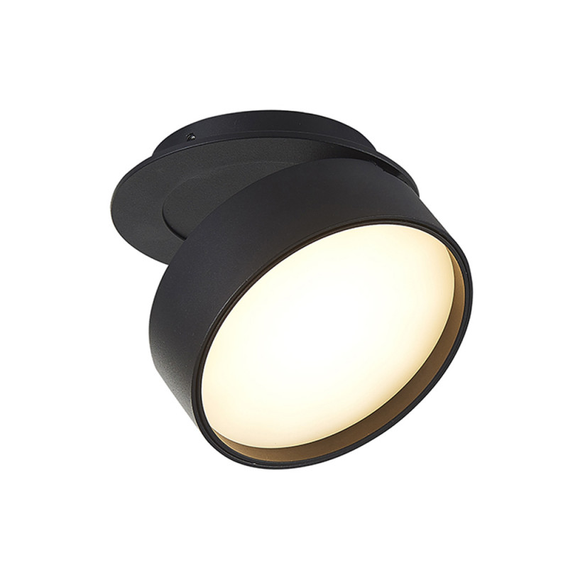 Встраиваемый поворотный светодиодный светильник Donolux DL18959R12W1B
