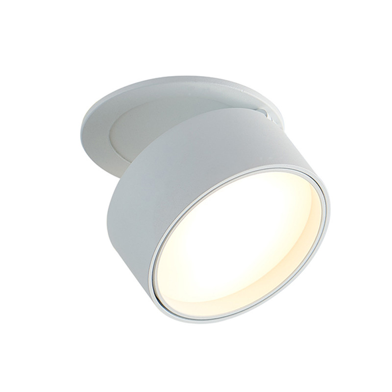 Встраиваемый поворотный светодиодный светильник Donolux DL18959R12W1W