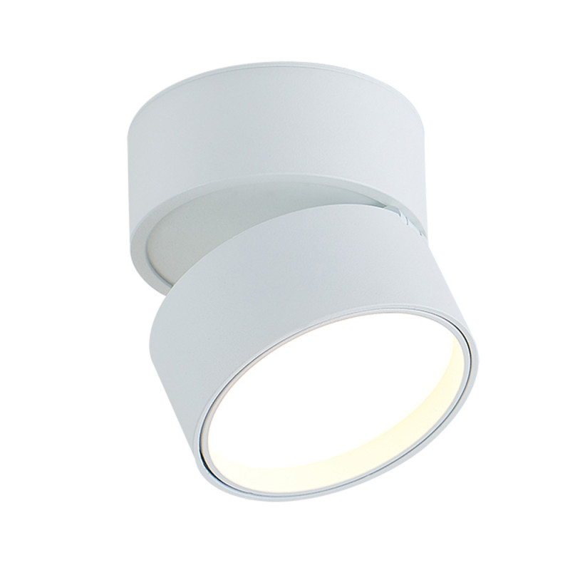 Накладной поворотный светодиодный светильник Donolux DL18960R12W1W