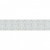 Светодиодная лента S2-2500 24V Arlight 023408 White 6000K 85mm, 560 LED/m, LUX 