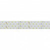 Светодиодная лента RT-A280-36mm 24V Arlight 025158(2) Day5000 CRI98, 30 W/m, IP20, 2.5m 