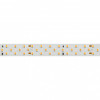Светодиодная лента RT-A252-19mm 24V Arlight 019929(2) Warm2700, 27 W/m, IP20, 5m 