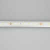Светодиодная лента герметичная RTW-PFS-A60-11mm 24V Arlight 034157 White6000, 4.8 W/m, IP68, 5m 