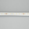 Светодиодная лента герметичная RTW-PFS-A60-11mm 24V Arlight 034182 Red, 4.8 W/m, IP68, 5m 