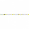 Светодиодная лента RT-A80-8mm 24V Arlight 024514(2) Warm2700, 6 W/m, IP20, 5m 