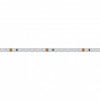 Светодиодная лента 24V Blue 5mm 2x RT 2-5000 Arlight 015660(1)