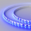 Светодиодная лента RT 2-5000 24V Arlight 015660(1) Blue 5mm 2x, 600 LED, LUX 