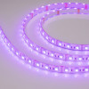 Светодиодная лента герметичная RTW-PU-B60-12.5mm 12V Arlight 029599(2) RGB, 14.4 W/m, IP68, 5m 