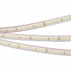 Светодиодная лента герметичная RTW-PS-A160-10mm 24V Arlight 024545(2) Warm2700, 12 W/m, IP67, 5m
