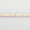 Светодиодная лента герметичная RTW-PS-A160-10mm 24V Arlight 024545(2) Warm2700, 12 W/m, IP67, 5m 