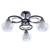 Накладная люстра ARTE Lamp A1604PL-3BK