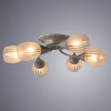 Накладная люстра ARTE Lamp A2701PL-6WG