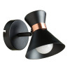 Настенное бра ARTE Lamp Baltimore A1406AP-1BK