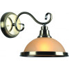 Бра ARTE Lamp Safari A6905AP-1AB