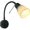 Бра ARTE Lamp Lettura A7009AP-1BR