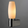 Настенное бра ARTE Lamp Aqua A1209AP-1CC