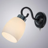 Бра ARTE Lamp Krit A4505AP-1BK