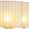 Настенный светильник Lightstar Paralume 725623