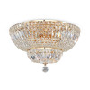 Потолочный светильник Maytoni Basfor DIA100-CL-12-G