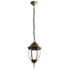 Уличный светильник ARTE Lamp Pegasus A3151SO-1BN