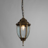 Уличный светильник ARTE Lamp Pegasus A3151SO-1BN