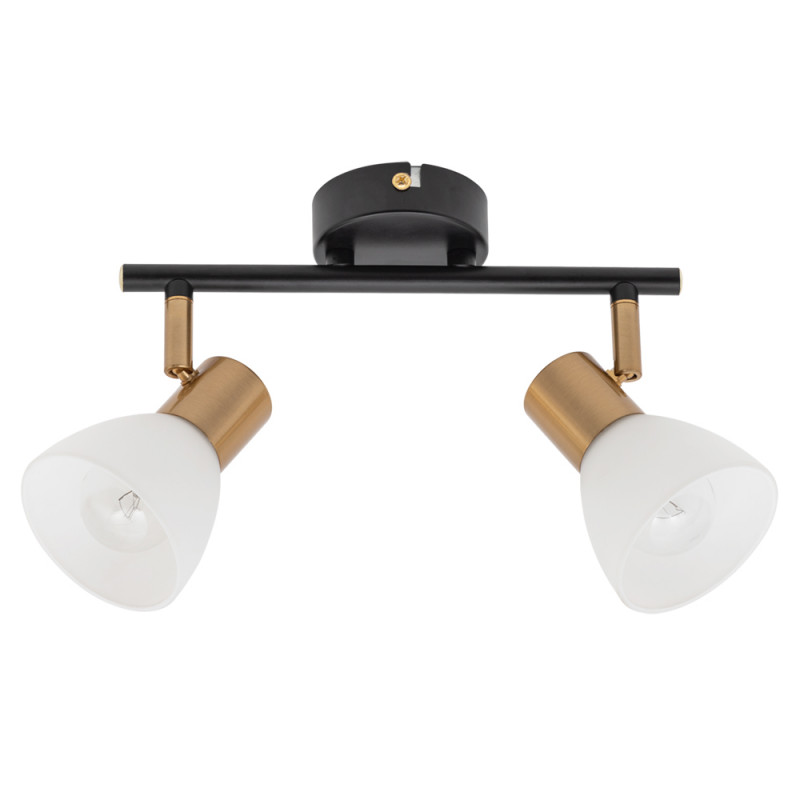 Спот ARTE Lamp Falena A3117PL-2BK