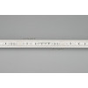 Светодиодная лента герметичная RTW-PU-B60-12.5mm Arlight 029515(2) 24V RGB, 14.4 W/m, IP68, 5m 