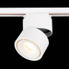 Светильник на шине ST-Luce ST652.546.12