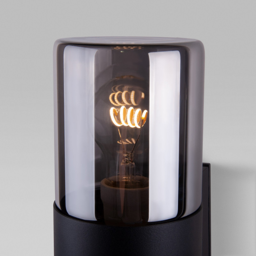 Светильник настенный Elektrostandard Roil (35125/D) чёрный/дымчатый плафон
