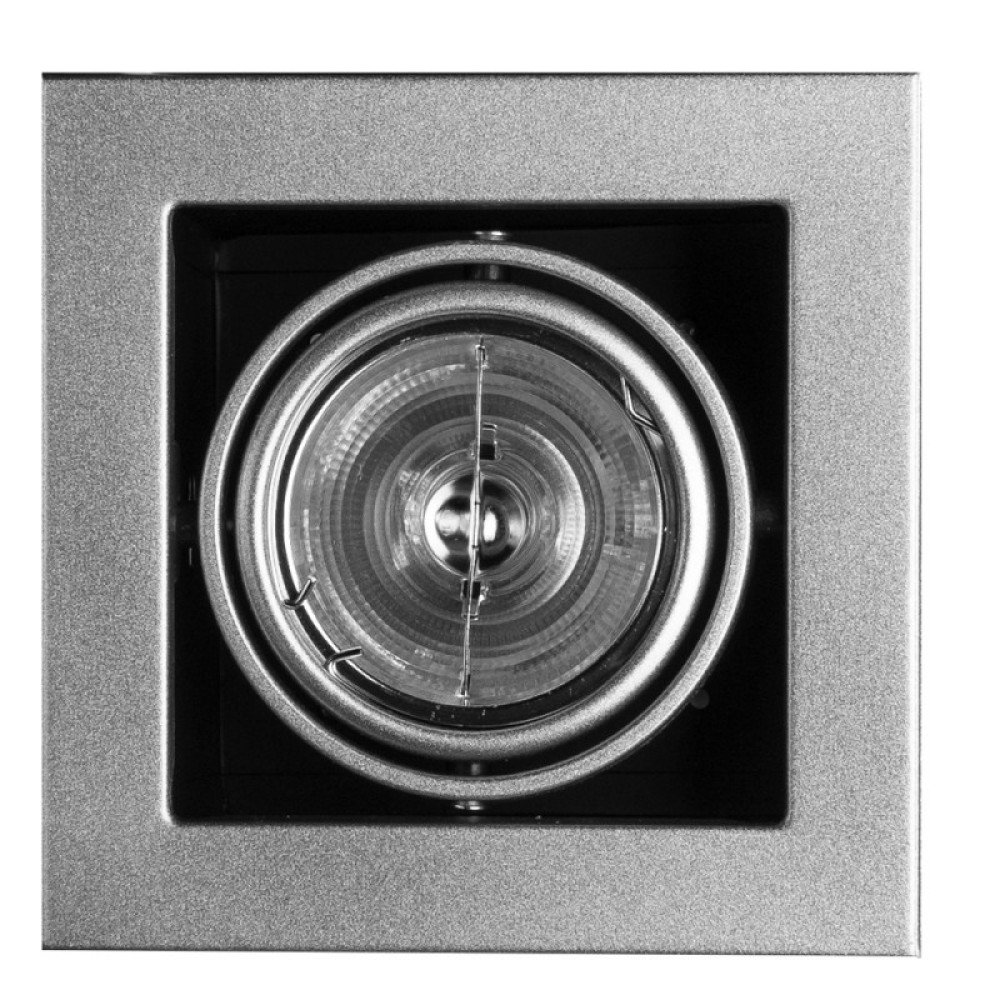 Потолочный светильник ARTE Lamp Cardani medio A5930PL-1SI