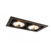 Потолочный светильник ARTE Lamp Cardani Semplice A5949PL-2BK
