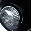 Потолочный светильник ARTE Lamp Taurus A6663PL-1BK